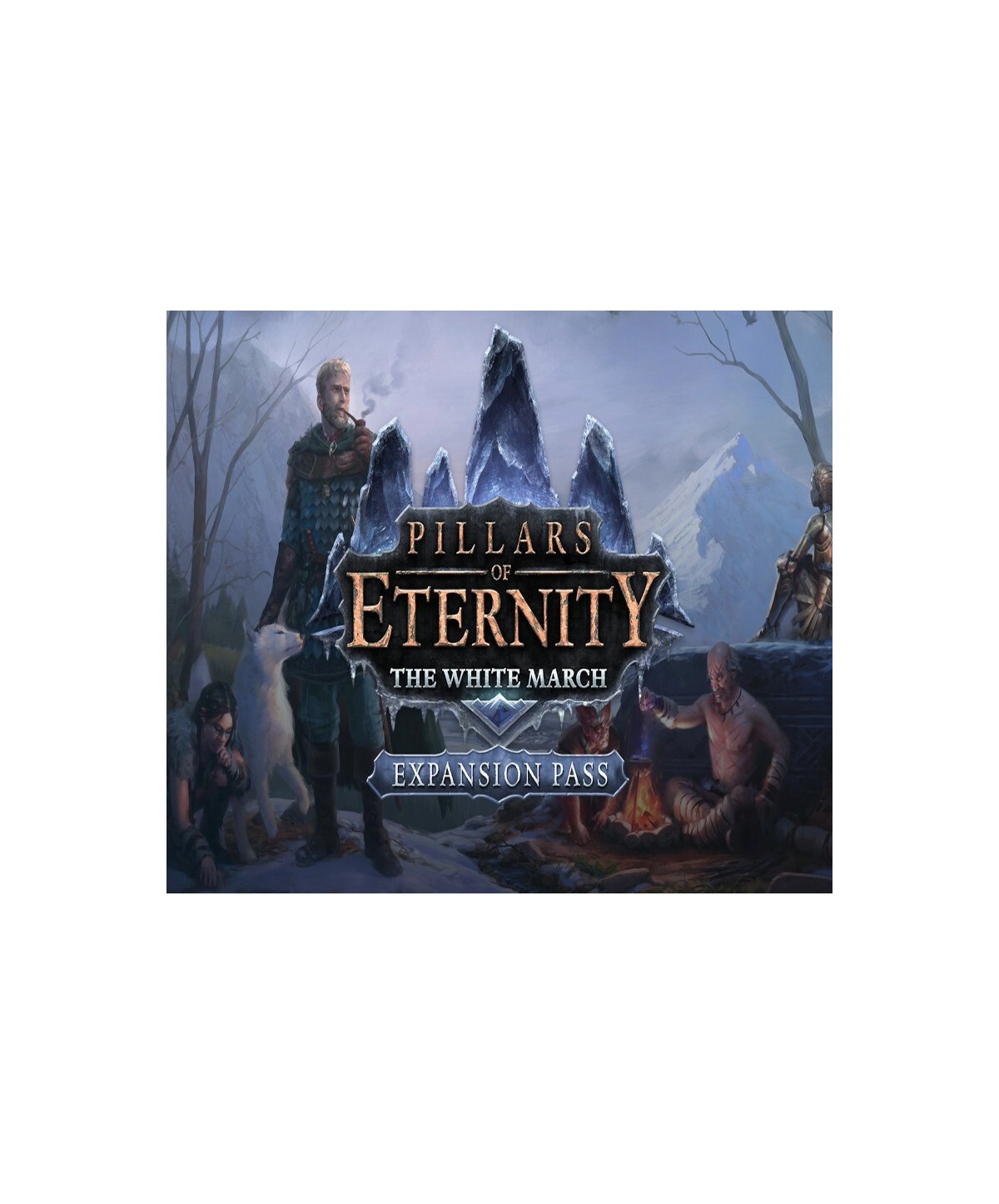 Pillars of Eternity: The White March Expansion Pass Gift Steam Key GLOBAL